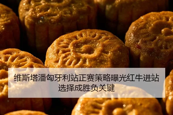 维斯塔潘匈牙利站正赛策略曝光红牛进站选择成胜负关键